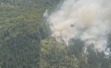 Flakët në Fushë Arrëz, Pirro Vengu: Helikopterët nga Emiratet Arabe vendosën flakët nën kontroll