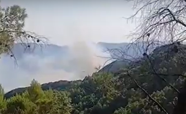 Zjarr masiv në pyllin me pisha në fshatin Gjinoqarë/ Era favorizon flakët, terreni i thyer vështirëson izolimin e vatrës