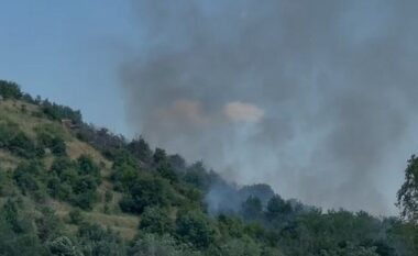 Beteja me flakët në Finiq dhe Mallakastër, avionët suedezë dhe kroatë në aksion për shuarjen e zjarreve