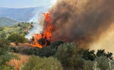 Zjarret në Gramsh/ Vatra aktive në tre fshatra të Skëndërbegasit, flakët përfshijnë edhe Zavalinën në Elbasan