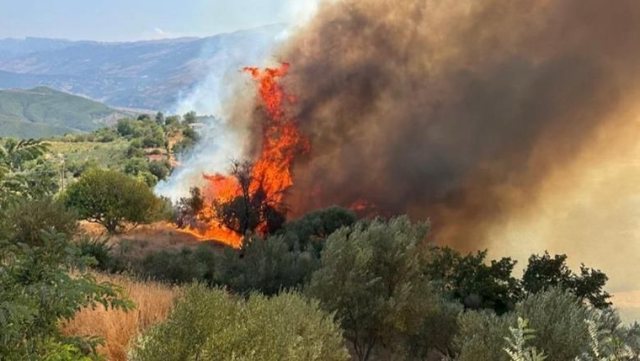 Zjarret në Gramsh/ Vatra aktive në tre fshatra të Skëndërbegasit, flakët përfshijnë edhe Zavalinën në Elbasan