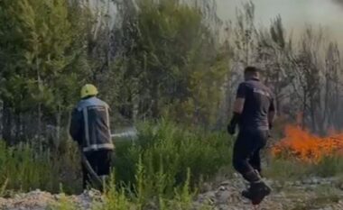 Përhapen me shpejtësi dy vatra zjarri në fshatin Borizanë, rrezikojnë t’i afrohen depos së dinamitit që furnizon guroret