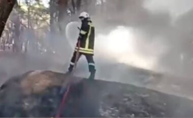Përfshihet nga flakët makina në Vlorë, rrezikohet pylli i Sodës, nisin hetimet