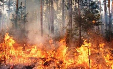 Situata e zjarreve në vend/ Shuhen nëntë vatra, një tjetër nën monitorim nga zjarrfikësit
