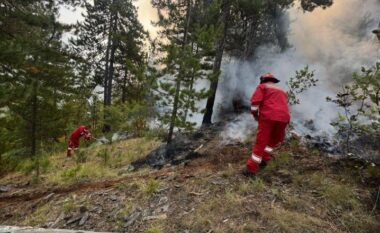 Situata e zjarreve në vend/ Ministria e Mbrojtjes: 12 vatra, 4 prej tyre aktive, ndërhyrje nga ajri dhe toka