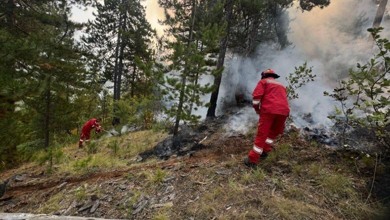 Situata e zjarreve në vend/ Ministria e Mbrojtjes: 12 vatra, 4 prej tyre aktive, ndërhyrje nga ajri dhe toka