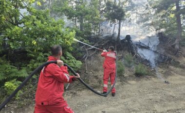 Zjarret “mbërthejnë” Shqipërinë/ 50 vatra në 24 orët e fundit, 19 vijojnë aktive. Situatë kritike në Fushë-Arrëz dhe Poliçan