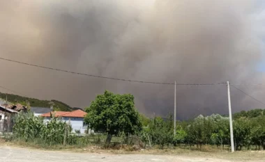 80-vjeçari humb jetën mes flakëve në Gramsh! Dyshohet se i moshuari ndezi zjarr në kopshtin e banesës në Kullollas, situata i doli nga kontrolli