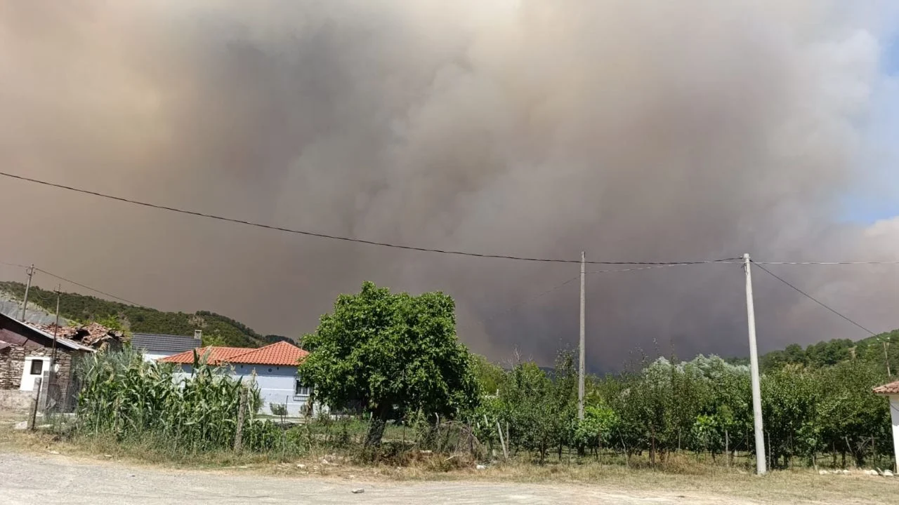 80-vjeçari humb jetën mes flakëve në Gramsh! Dyshohet se i moshuari ndezi zjarr në kopshtin e banesës në Kullollas, situata i doli nga kontrolli