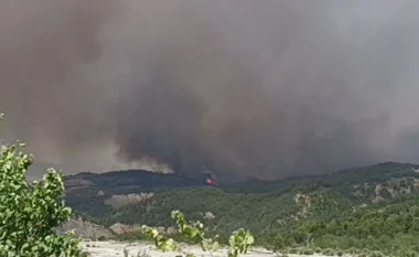 Situatë kritike me zjarret në Gramsh/ Presidenti Begaj: Thirrje për ndërgjegjësim, banorët të bashkëpunojnë emergjencat civile