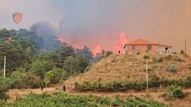 Dëmet nga zjarret, Rama: Do dëmshpërblehen një për një krerët e humbur