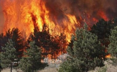 Zjarret më shkatërruese në 13 vite/ Sistemi Europian i Klimës: 49 hektarë të djegur në Shqipëri