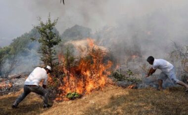 Në Shkodër 230 raste zjarresh, kreu i zjarrfikësve: Shumica nga pakujdesia njerëzore