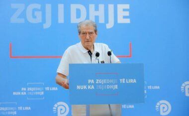 Zhdukja e mistershme e ish-zv.drejtorit të AKSHI-t/ Berisha tregon prapaskenat: Do kishim skema si ajo e Jan Prengës apo Ervis Martinajt