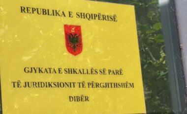 Plagosi nënën e tij, gjykata e Dibrës shtron në spital psikiatrik autorin