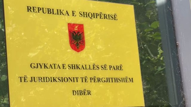 Plagosi nënën e tij, gjykata e Dibrës shtron në spital psikiatrik autorin