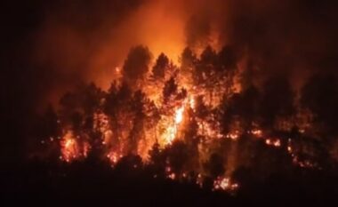 Flakët e zjarrit përfshijnë pyjet në Fushë-Arrëz, Bashkia kërkon ndërhyrje ajrore urgjente