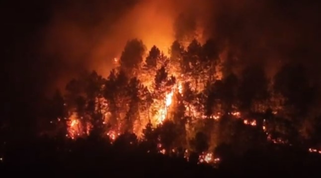 Flakët e zjarrit përfshijnë pyjet në Fushë-Arrëz, Bashkia kërkon ndërhyrje ajrore urgjente