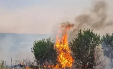 Ndezi zjarr në tokën e tij dhe rrezikoi banesat e fshatit, arrestohet 65-vjeçari në Berat
