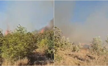 Vatër zjarri në Parkun e Butrintit, era favorizon përhapjen e flakëve