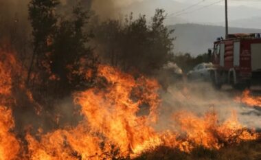 Flakë pranë banesave në Peqin e Rrogozhinë, zjarrfikësit në aksion