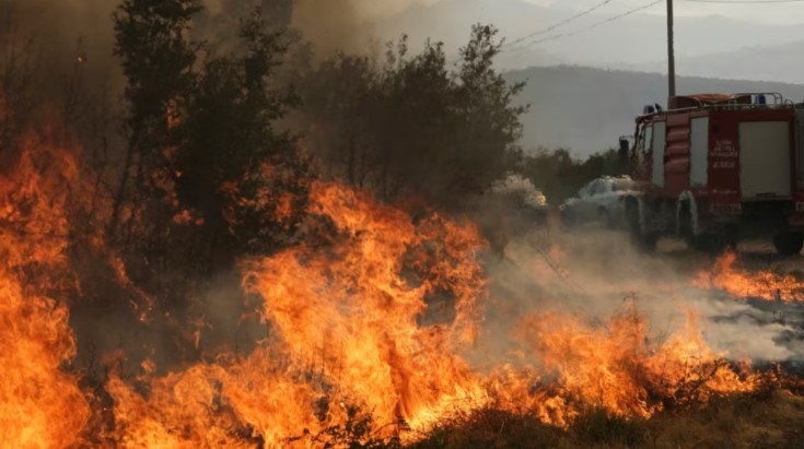 Flakë pranë banesave në Peqin e Rrogozhinë  zjarrfikësit në aksion
