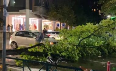 Stuhia e fortë thyen degën e pemës, bllokohet qarkullimi në Rrugën e Elbasanit