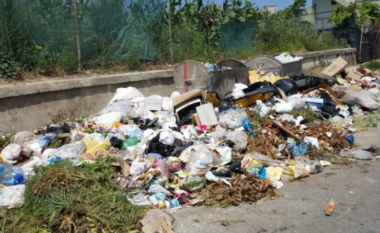 Mbetjet urbane/ Tirana gjeneron 14.52 kg për frymë në vit, gati 10 herë më shumë se BE