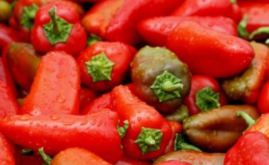 Specat e importuar nga Shqipëria tërhiqen urgjentisht nga tregu në Slloveni, zbulohet prania e pesticideve të rrezikshme