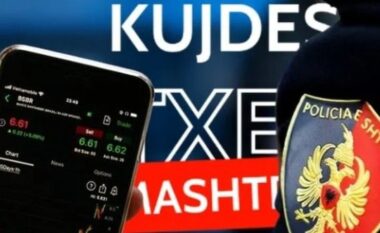 Skemat piramidale online të shtrira edhe në Tiranë e Lezhë, investuan edhe efektivë të policisë