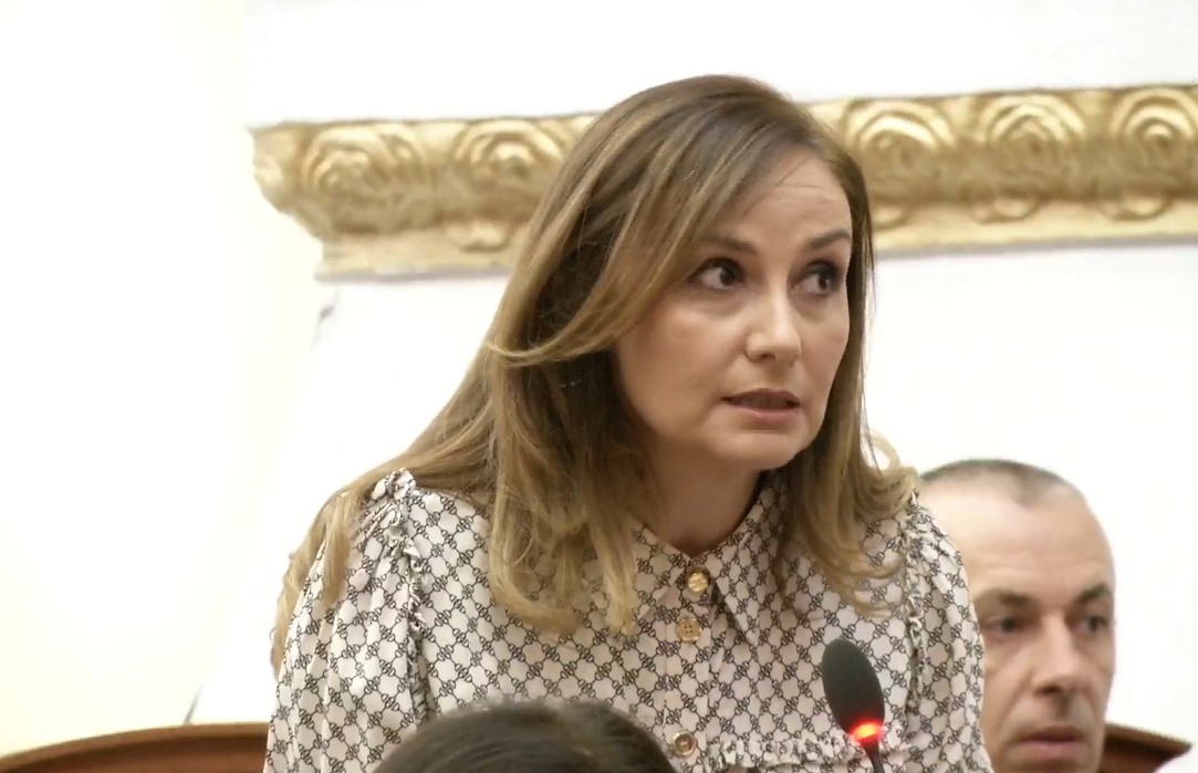 PD kërkon përsëritjen e seancës së kaluar, Tabaku: E kuptoj që qeveria nuk ka vizion, por programi nuk mund të kalojë pa debat