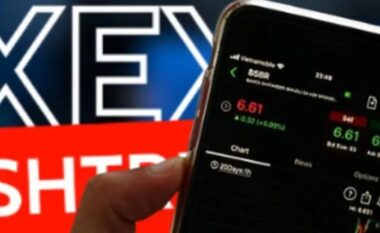 Skema piramidale XUEX/ Gjykata cakton burg për 4 nga të arrestuarit, detyrim paraqitje për 2 të tjerë (EMRAT)