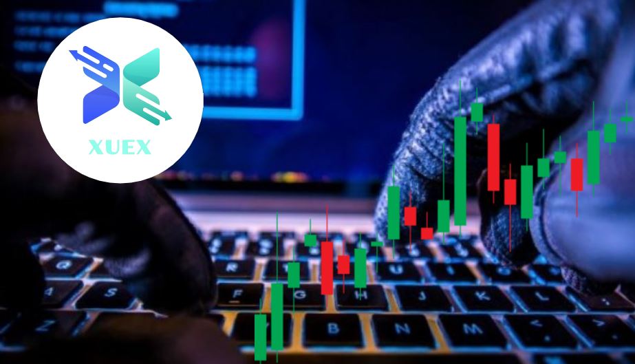 Skema piramidale “XUEX”/ Zbardhen bisedat: Investo minimumi 1 mijë dollarë dhe fiton përjetë, çdo gjë ta mëson ‘profesori’ dhe Joana, paratë i merr në…