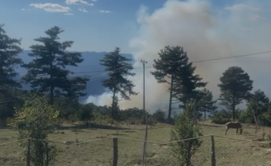 Çfarë po ndodh në Gramsh? Denoncojnë banorët: Vatër zjarri aktive që në mëngjes, askush s’ka ardhur ta shuaj