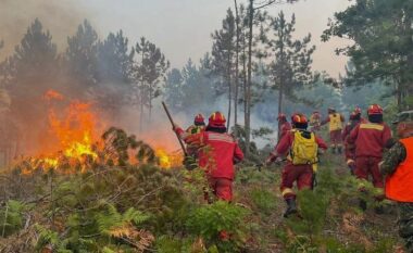 Përfundon vlerësimi në Delvinë, 9.5 mld lekë dëme nga zjarret, banorët e prekur do të dëmshpërblehen