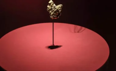 Hajdutët nuk synojnë vetëm Luvrin! Gruaja kineze arrestohet për vjedhje në Muzeun e Historisë Natyrore në Paris