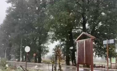 Nën petkun e bardhë të dëborës, pamjet mahnitëse nga dimri i parakohshëm në Librazhd (VIDEO)