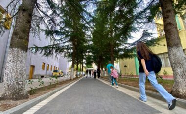 BIRN: Një në pesë fëmijë në Shkodër ka përjetuar bullizëm