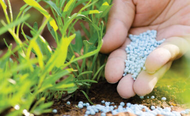 Importet e pesticideve, me rritje në krahasim me një dekadë më parë