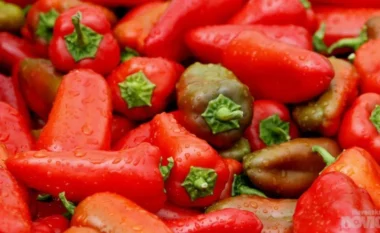 Kroacia bllokon 8 mijë kg speca nga Divjaka, përmbajnë pesticide të rrezikshme