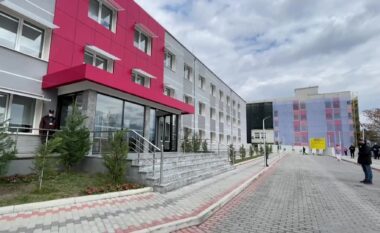Ish-deputetja e PD, emërohet Drejtoreshe e Spitalit te Elbasanit