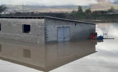 Përmbyten katet e para të banesave në Pogradec, familjet në Vërdovë pa ndihmë