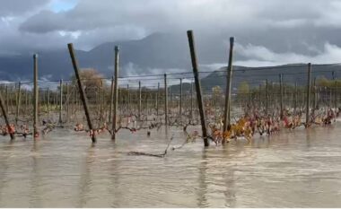 Moti i keq në vendin tonë/ Del nga shtrati liqeni i Viroit, toka dhe vreshta të përmbytura në qarkun e Gjirokastrës