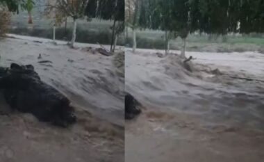 Reshje intensive shiu, situatë alarmante në Finiq, përroi i fshatit del nga shtrati, përmbyten fushat dhe rrugët (VIDEO)