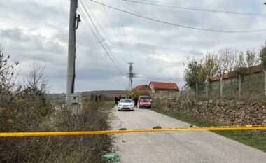 Vrau dy kunetërit, burri kishte dhunuar edhe gruan e tij me kabllo elektrik: Nëse ndahesh, kam me t`i faru krejt! Detajet