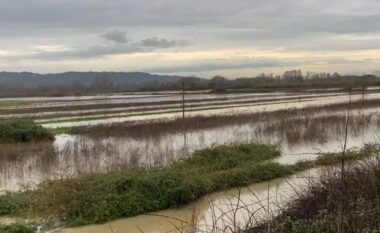 Lumi Ishëm del nga shtrati, përmbyten qindra hektarë tokë bujqësore