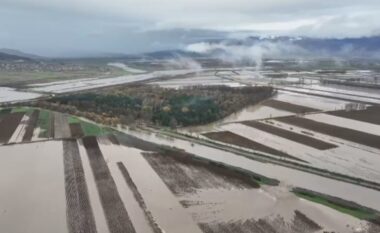 Përmbytjet/ Fermerët të pashpresë në Gjirokastër, mbi 200 hektarë të mbjella nën ujë