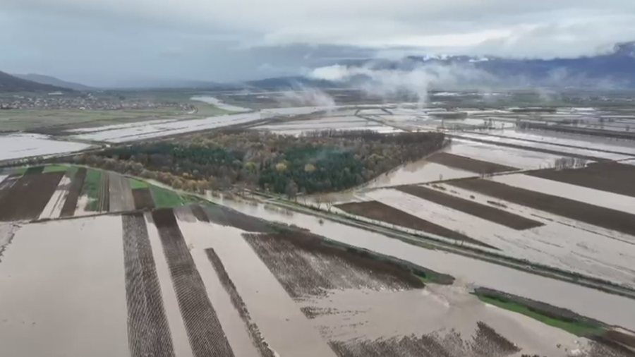 Përmbytjet/ Fermerët të pashpresë në Gjirokastër, mbi 200 hektarë të mbjella nën ujë