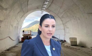 Berisha: Neni i Kushtetutës i jep ministrave vetëm imunitet deputeti dhe jo mbrojtje nga pezullimi! Mashtrim i pastër politik nga Balluku dhe qeveria!