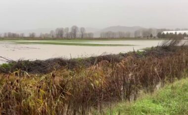 Maliq, 15 hektarë nën ujë/ Reshjet kanë përmbytur sipërfaqe të mëdha bujqësore në qarkun e Korçës